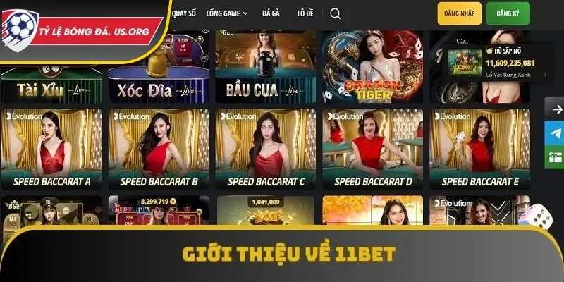 11bet